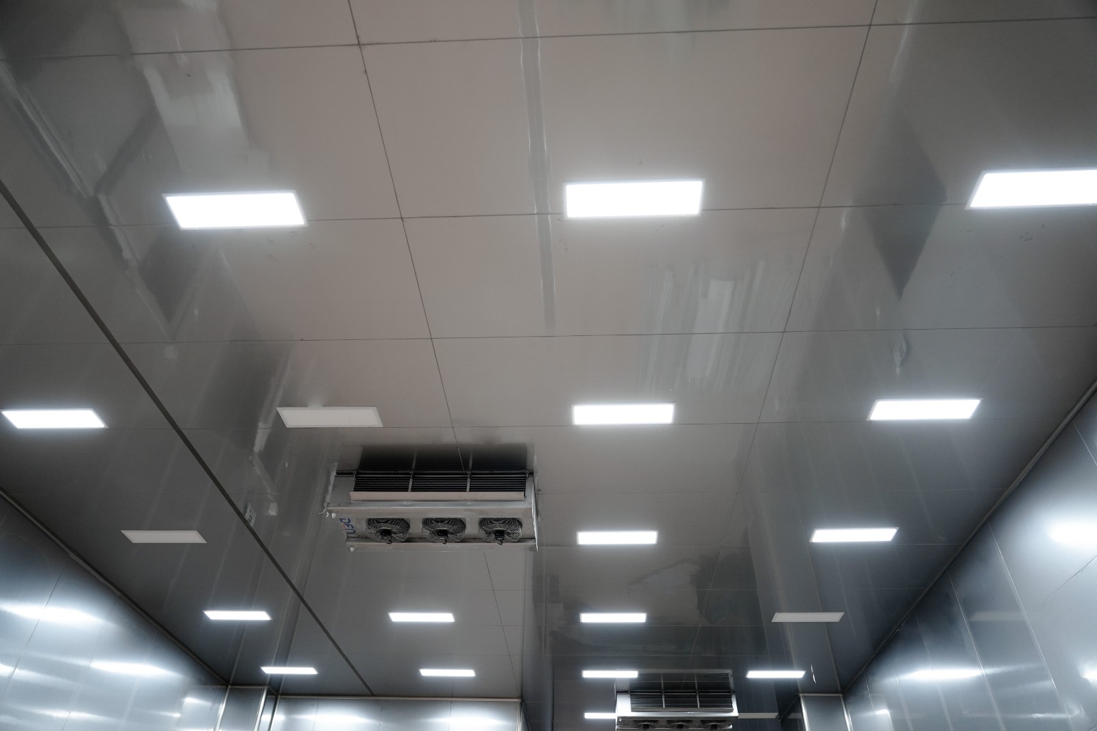 石家庄市比夫派食品建设项目